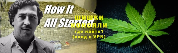 гидра Алексеевка