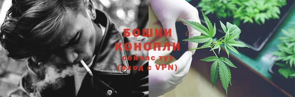 гидра Алексеевка