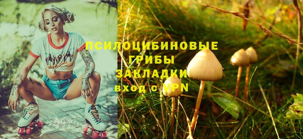 гидра Алексеевка