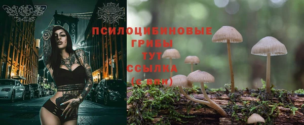 не бодяженный Алзамай