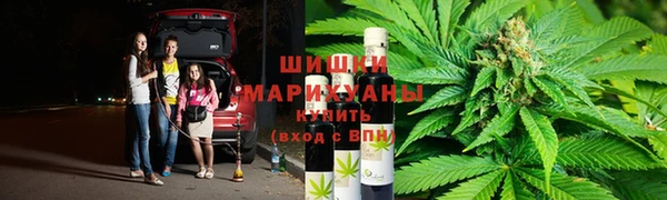 гидра Алексеевка