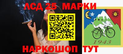 сатива Лесосибирск