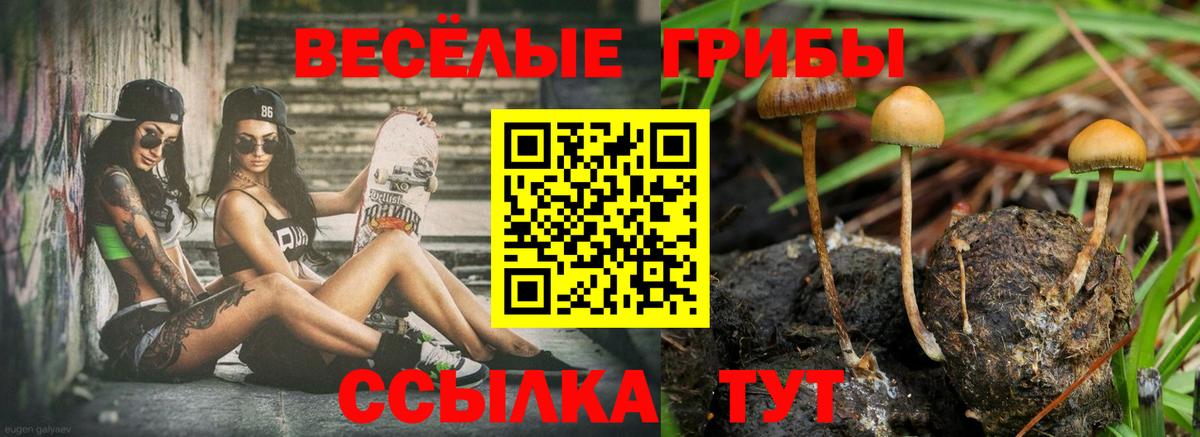 Галлюциногенные грибы мухоморы  Вход с VPN  Десногорск  Псилоцибиновые грибы Magic Shrooms 